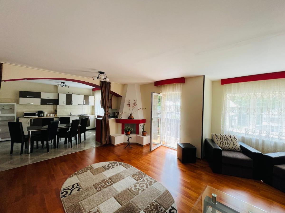 Apartament Extralarge Buşteni Екстериор снимка