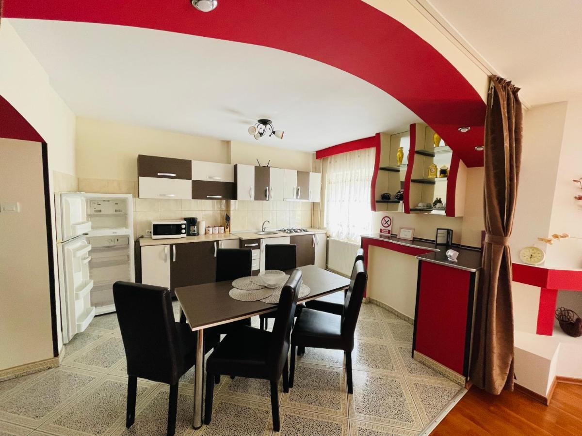 Apartament Extralarge Buşteni Екстериор снимка